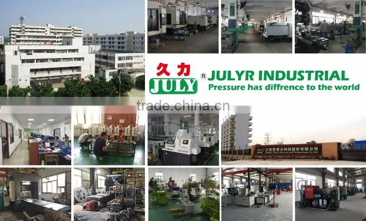 Modern Technique JULY Manufactory 20 Ton Hot Chamber Die Casting Machine