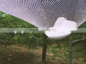 breaking resistant 45g HDPE anti hail net for fruit tree protection
