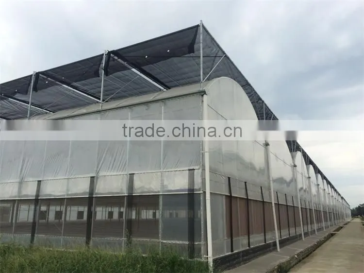 Large multi span green house