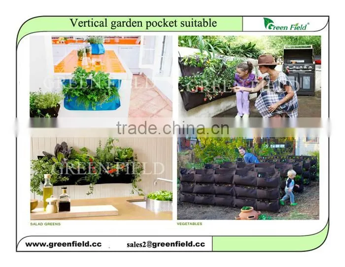 Vertical garden living wall planter, install vertical garden wall planter