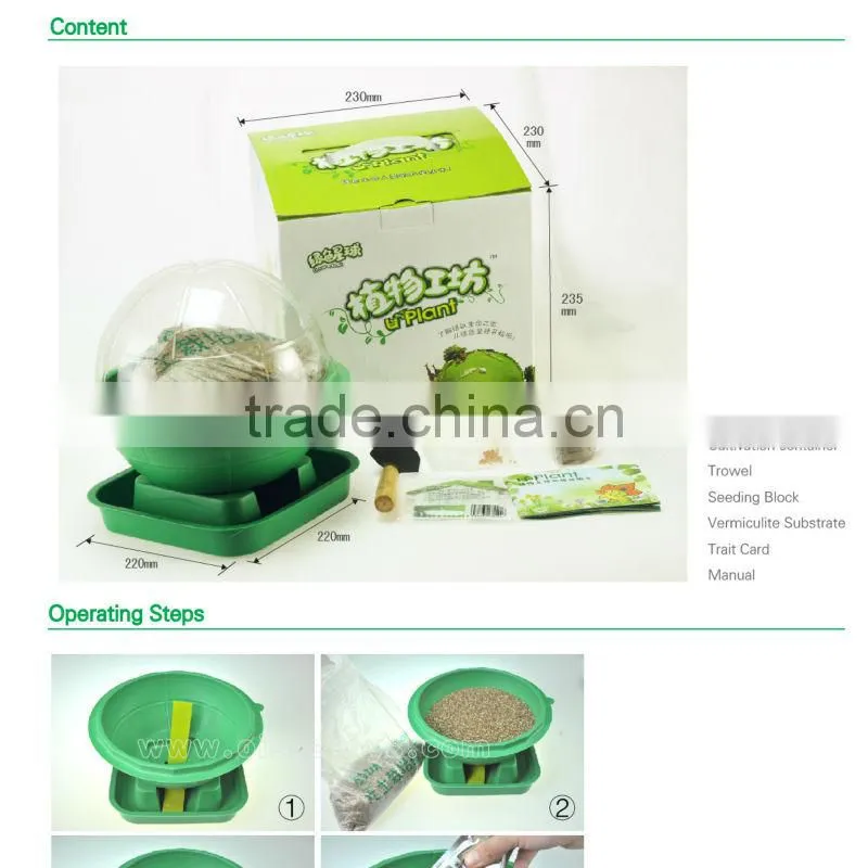 2016 New Product Plants Indoor Kit Kids Toys