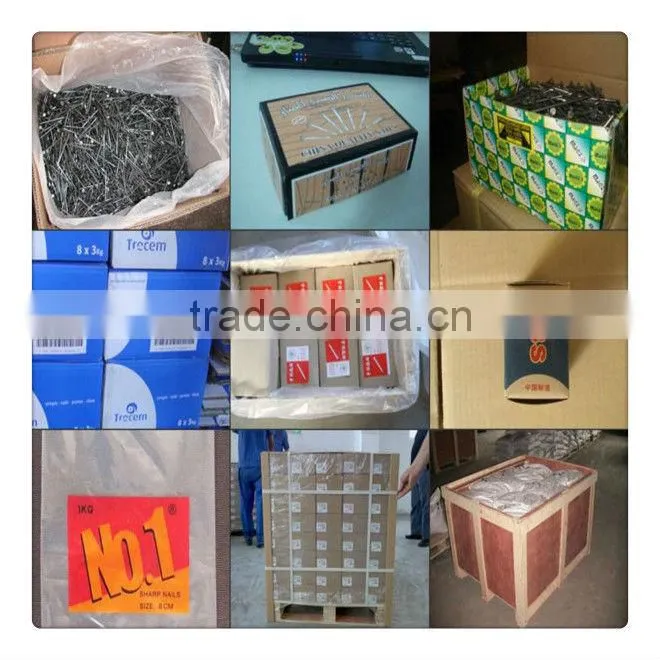 wood common nail/common iron nail/polished common nail factory nail