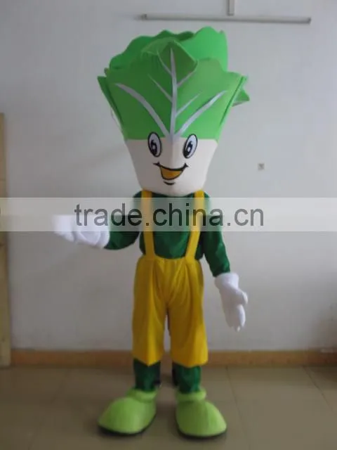 EVA plush material vegetable mascot costume vegetable mascot for adult