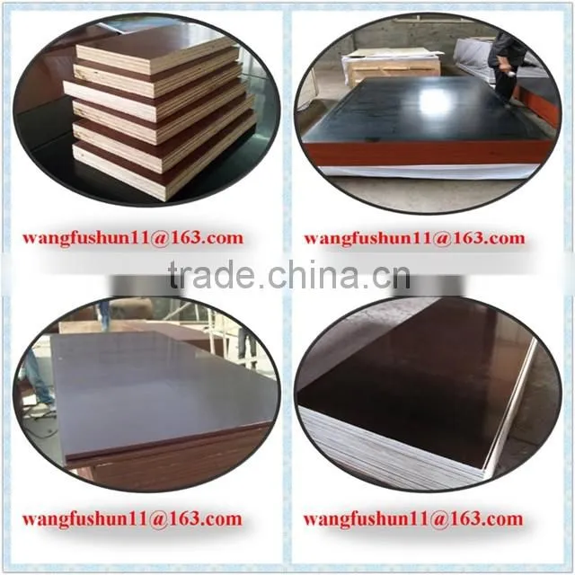 film faced plywood for construction black or brown film faced plywood for Qatar construction