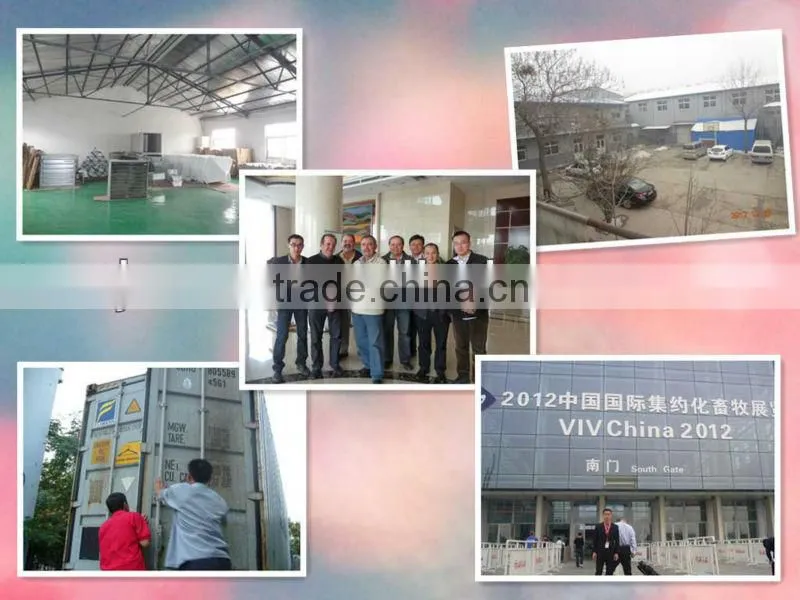 hot sale birdsitter automatic heaters for poultry farm