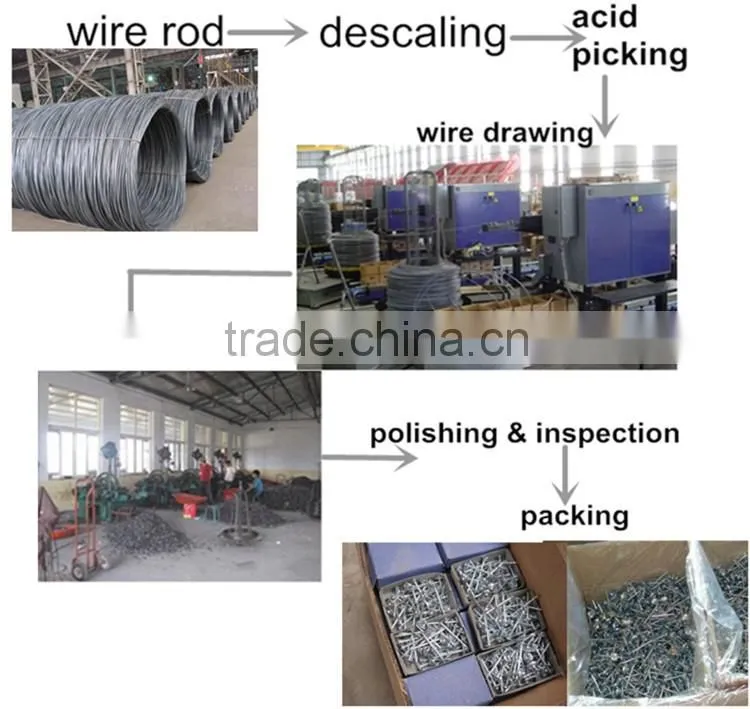 China building material dubai and arabic screw roofing nail with washer