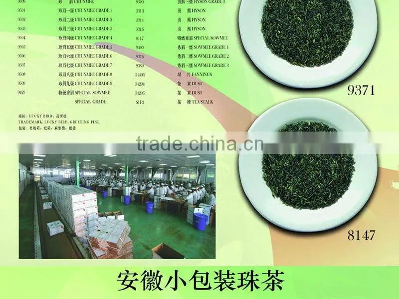 China Green Tea Special Chunmee 9371AAAA for African market