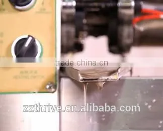 oil press machine with low price for pumpkin seed, cold press Moringa seed oil extracting machine
