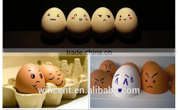 Easter Day DIY Drawing Wooden Egg