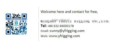 Stainless Steel Welded D Ring&Round Ring