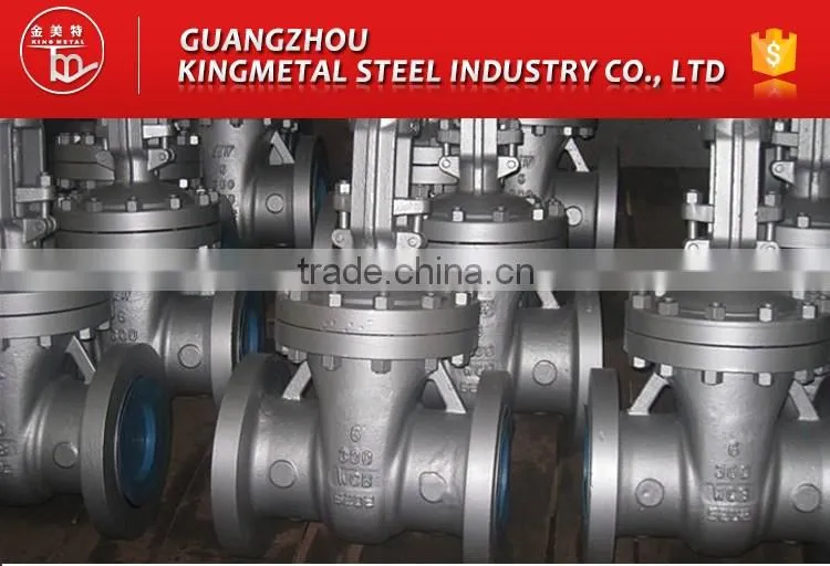Stainless Steel Swing Check Valve for Industry