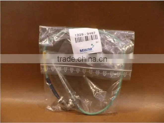 MWM EnginesThermocouple Head