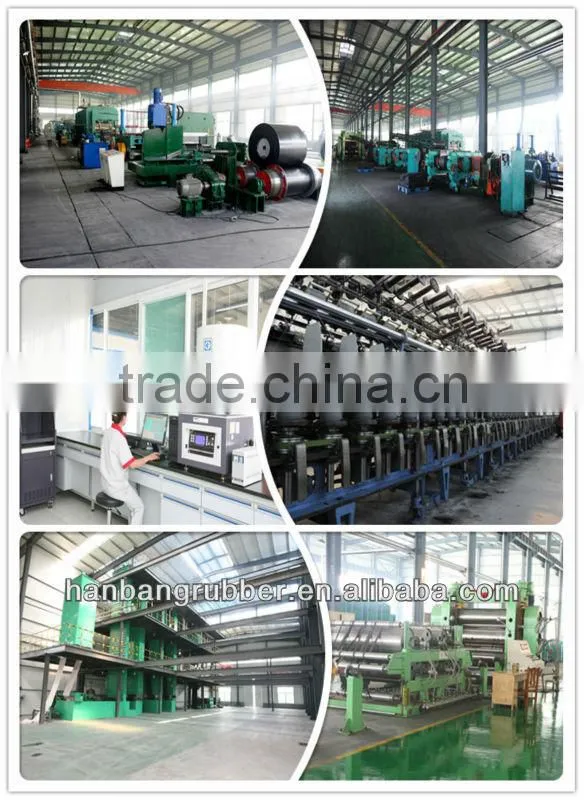 General Conveyor Belt Elevator belt