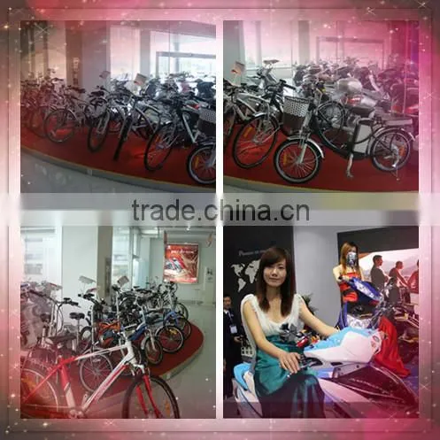 20" electric bicycle wheel disc brake