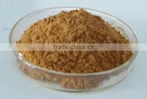 Lentinula edodes Dried Powder