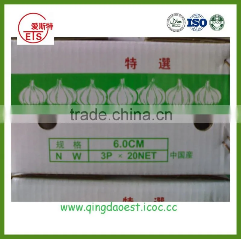 2016 high quality fresh white garlic from china