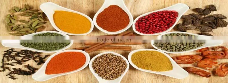 dried Bullet Chilli hot spicy high quality new crop
