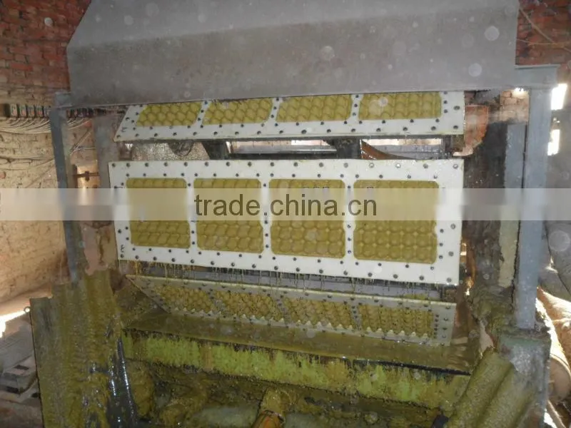 2015 hot sale economical pulp egg tray molding machine made in China Skype:ritaz060