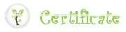 Zeolite Granular Filter Media For Aquaculture, 4-6MM Natural Zeolite Rock