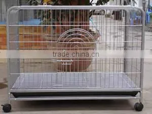Anping factory high quality used rabbit cages for sale/animal cages for sale/Bird Animal cage