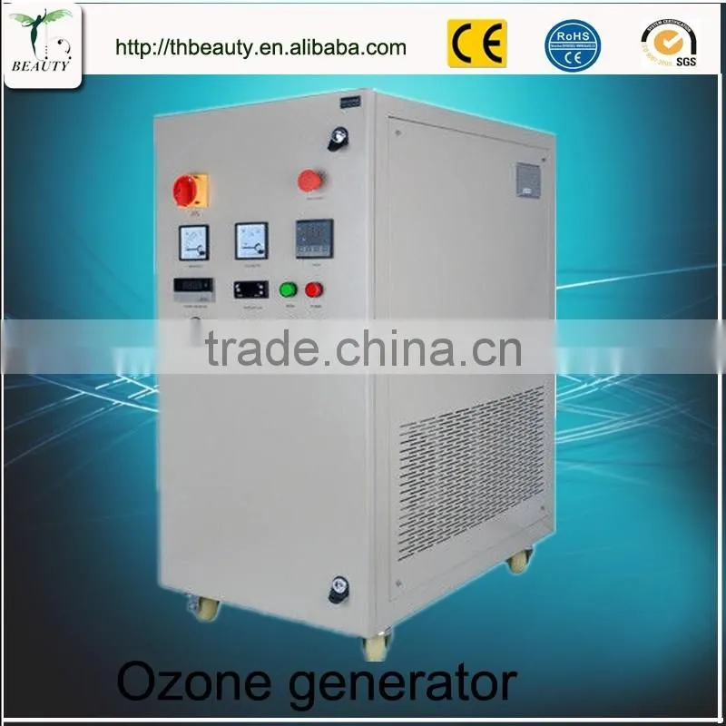 10g/20g/30g/40g/50g Large zone ozone generator ozonator