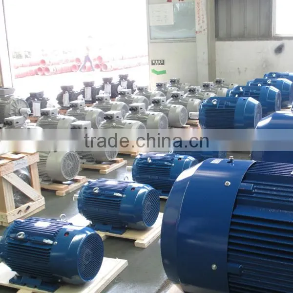 NEMA Standard Premium Efficiency Cast Iron Three Phase Electric Motor