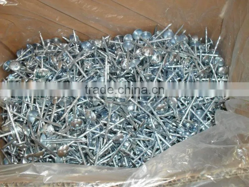 Large head roofing nail china nail factory price from China