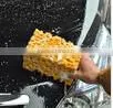 New arrival car wash tool bone sponge