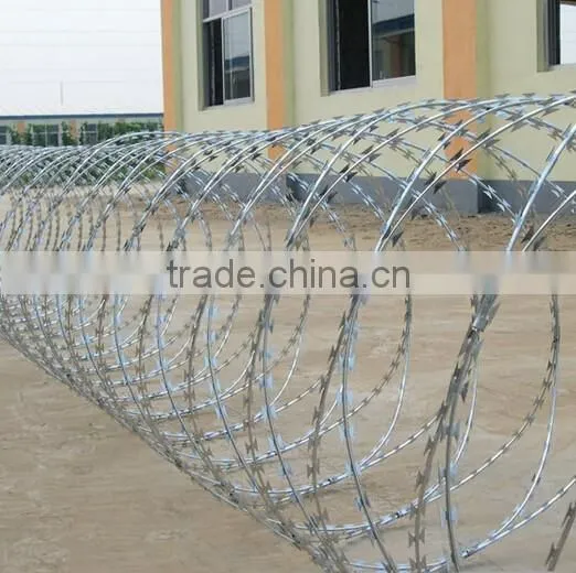 Pakistan salable The purpose of razor barbed wire/razor wire