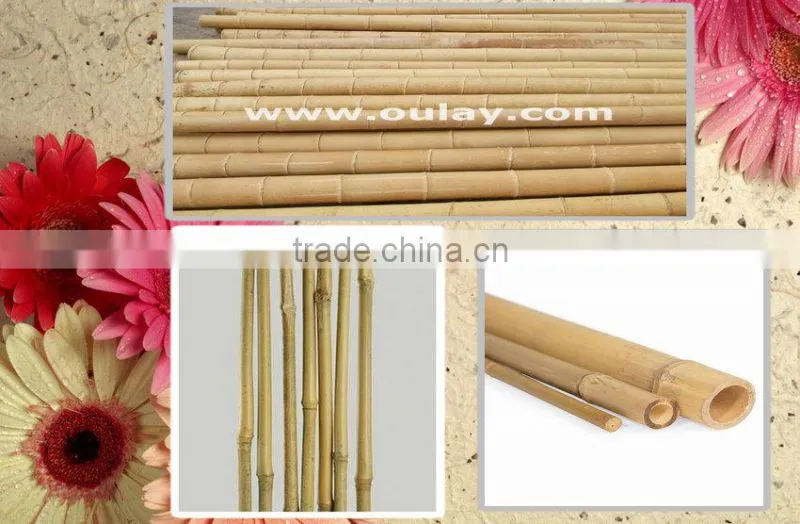 decorative short bamboo canes