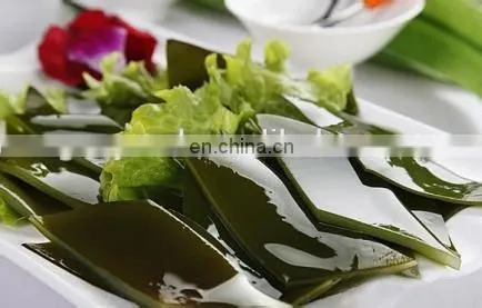 seaweed washing machine/Industrial washing drying machine/seaweed nitrate packaging machine