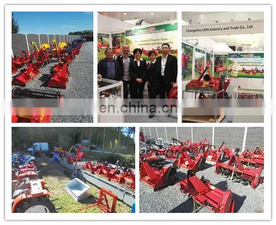 China Farm Machinery 3 point PTO hydraulic Mi-heavy Verge mulcher Flail Mower for tractor