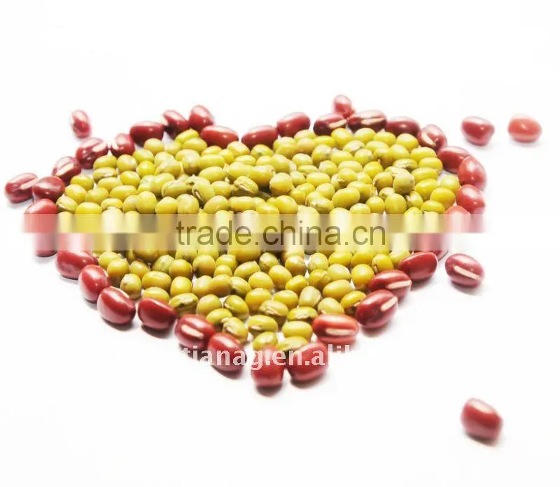 organic green mung bean