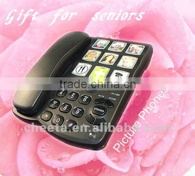 big button landline phone with cartoon family picture