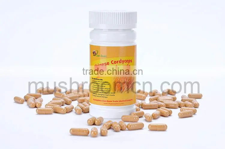 100% Pure Quality Cordyceps Sinensis Capsule