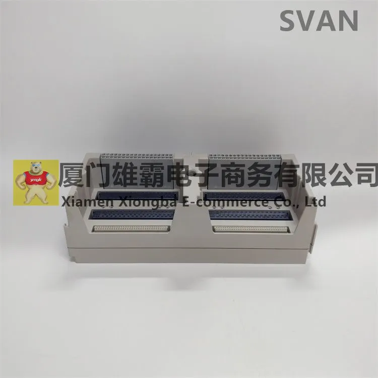 1B30035H01 (4).jpg