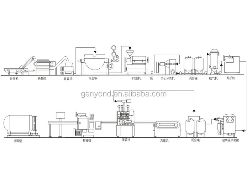 Shanghai Factory Complete Small Capacity mango Puree Processing Plant