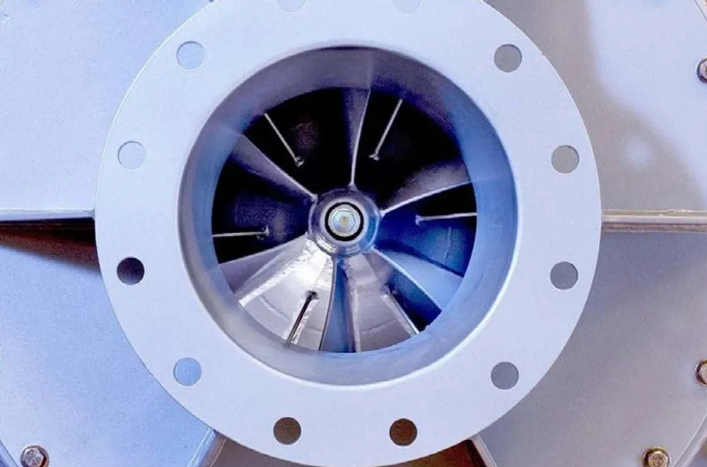 fan-31