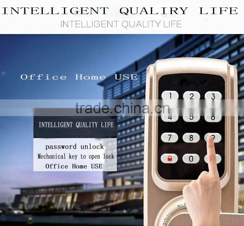 Ibutton Digital Door Lock Manufacturer