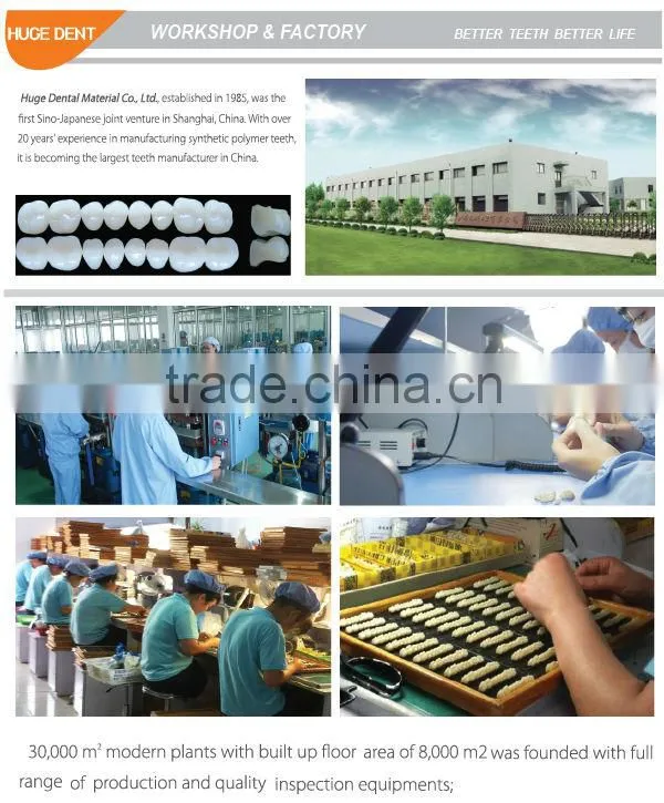 CE certification synthetic resin teeth