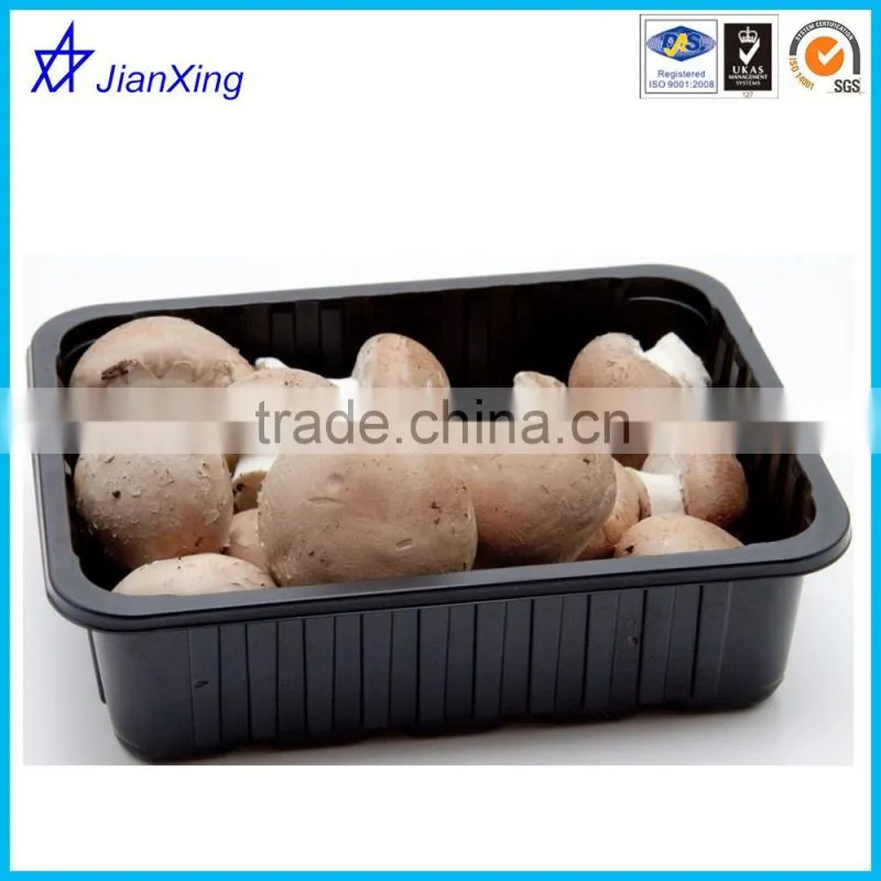 Eco Friendly Plastic Mushroom Packing Tray in Good Quality