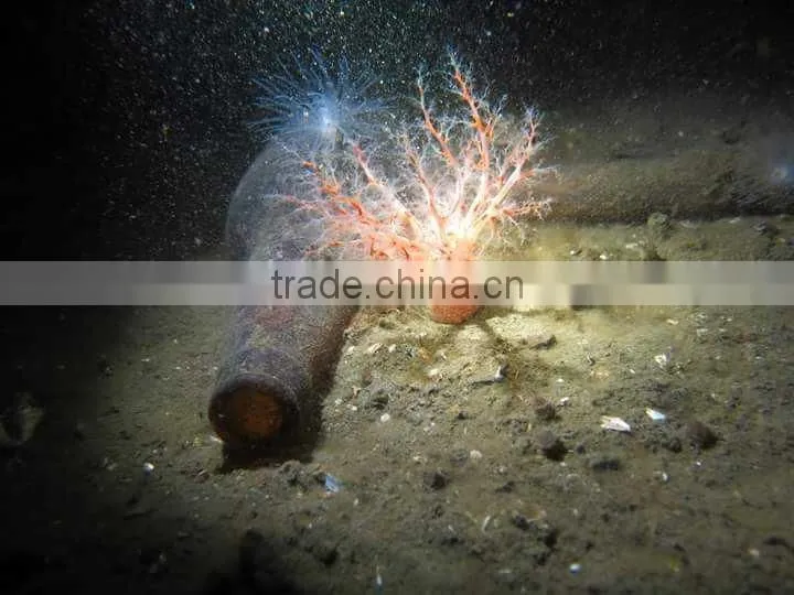 Most Powerful Scuba Led Wide Angle Diving Torch Underwater Video Light