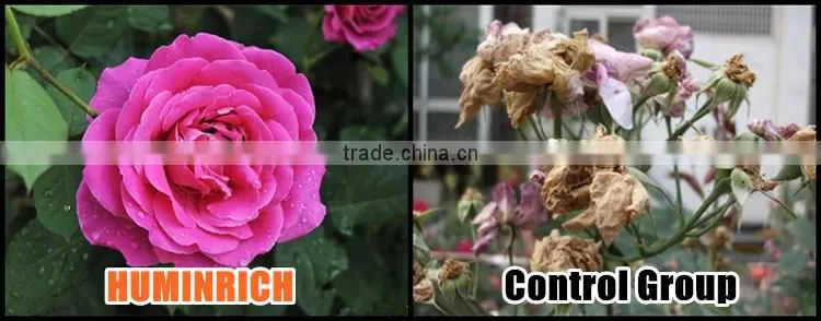 FAQ 33--Huminrich Potassium Humate Fertilizer Application On Plants