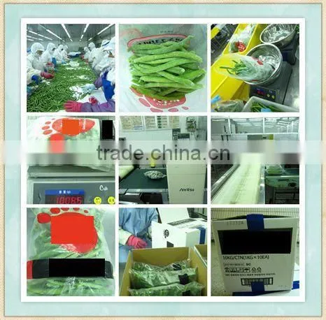 Wholesale Frozen Yellow Peach Slices