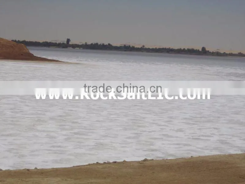 Sodium Chloride 98-99% NACL (Siwa Rock Salt) for melting snow (white color - low moisture - no impurities - loose shipments)