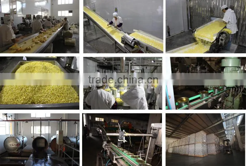 Good taste canned sweet corn A9/A10 for Europe Market
