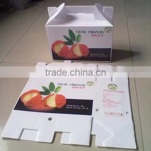 Waterproof and recycled PP plastic fruit boxes
