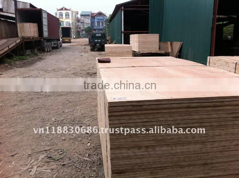 14mm Eucalyptus plywood