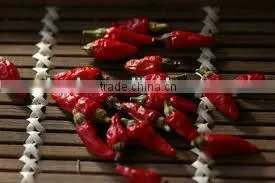 Red Hot Chili Peppers