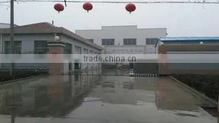 Shandong Chenfei Paper Industry Co., Ltd. company overview - view 1